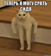 теперь я могу срать сидя 