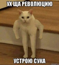 ух ща революцию устрою сука