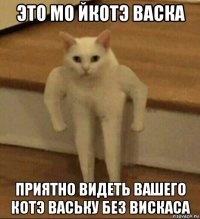 это мо йкотэ васка приятно видеть вашего котэ ваську без вискаса