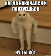 когда накачался и понтуешься ну ты кот