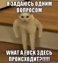 я задаюсь одним вопросом what a fuck здесь происходит?!!!!!