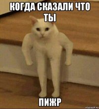 когда сказали что ты пижр