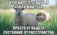 и когда лезет сашка, я злюсь и на тебя, просто от общего состояния, от расстройства