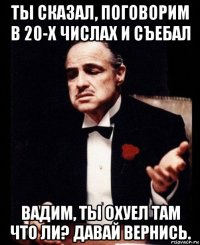 ты сказал, поговорим в 20-х числах и съебал вадим, ты охуел там что ли? давай вернись.