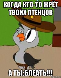 когда кто-то жрёт твоих птенцов а ты:блеать!!!