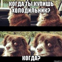 когда ты купишь холодильник? когда?