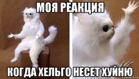 моя реакция когда хельго несет хуйню