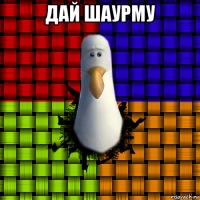 дай шаурму 