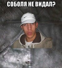 соболя не видал? 