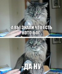 -а вы знали что есть кото-бог -да ну