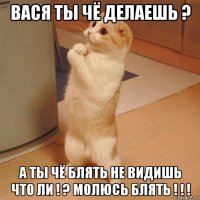 вася ты чё делаешь ? а ты чё блять не видишь что ли ! ? молюсь блять ! ! !