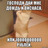 господи дай мне дождь и вискаса. или 10000000000 рублей.