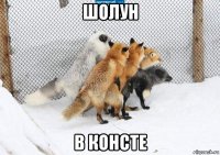 шолун в консте