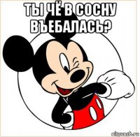 ты чё в сосну въебалась? 