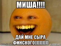 миша!!!! дай мне сыра финского)))))))))