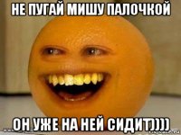 не пугай мишу палочкой он уже на ней сидит))))