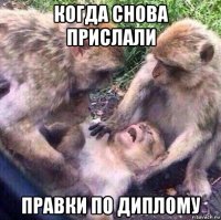 когда снова прислали правки по диплому