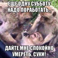 еще одну субботу надо поработать.. дайте мне спокойно умереть, суки!