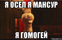 я осел я мансур я гомогей