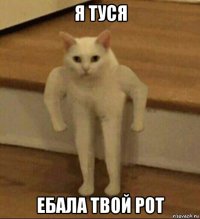 я туся ебала твой рот