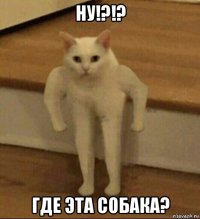 ну!?!? где эта собака?