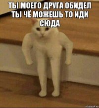 ты моего друга обидел ты чё можешь то иди сюда 