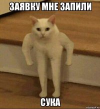 заявку мне запили сука