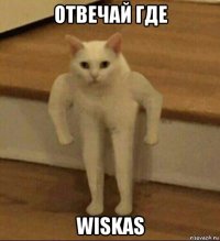 отвечай где wiskas