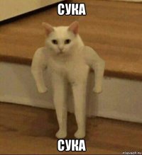 сука сука