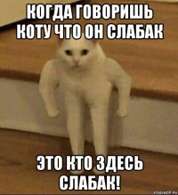 когда говоришь коту что он слабак это кто здесь слабак!