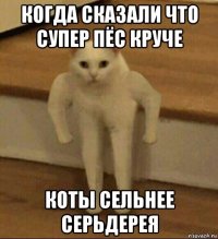 когда сказали что супер пёс круче коты сельнее серьдерея