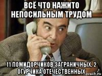 всё что нажито непосильным трудом 11 помидорчиков заграничных, 2 огурчика отечественных