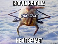 когда ксюша не отвечает