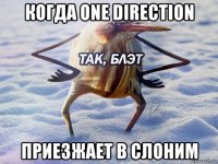 когда one direction приезжает в слоним