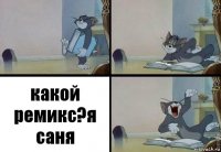 какой ремикс?я саня