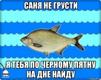 саня не грусти я тебя по черному пятну на дне найду