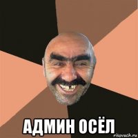  админ осёл