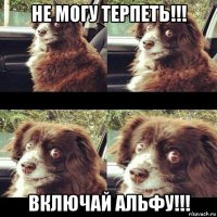 не могу терпеть!!! включай альфу!!!