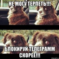 не могу терпеть!!! блокируй телеграмм скорее!!!