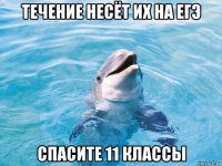 течение несёт их на егэ спасите 11 классы