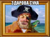 здарова сука 