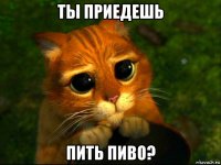 ты приедешь пить пиво?