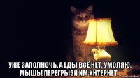  уже заполночь, а еды всё нет. умоляю, мышь! перегрызи им интернет. .