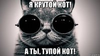 я крутой кот! а ты, тупой кот!