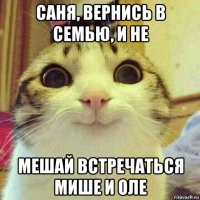 саня, вернись в семью, и не мешай встречаться мише и оле