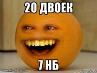 20 двоек 7 нб