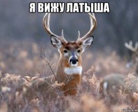 я вижу латыша 