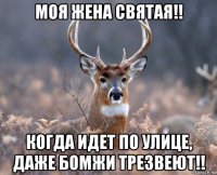 моя жена святая!! когда идет по улице, даже бомжи трезвеют!!