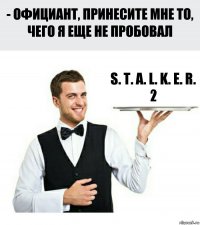 S. T. A. L. K. E. R. 2