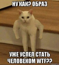 ну как? образ уже успел стать человеком wtf??